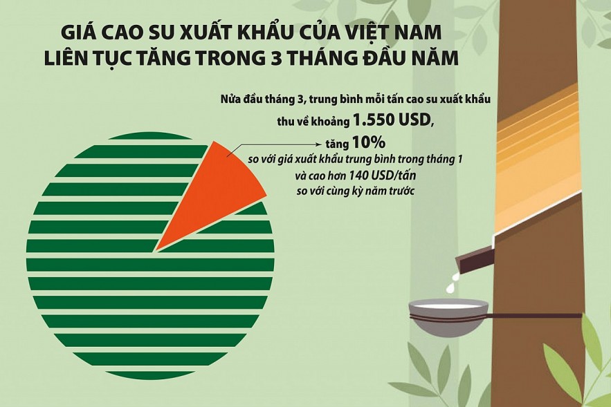 Giá cao su xuất khẩu sẽ biến động ra sao trong quý II/2024